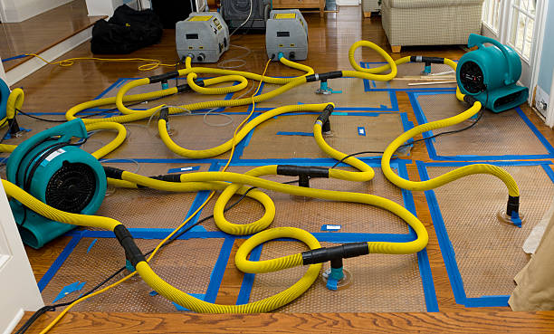 Professional Water Extraction technician working in Carroll, IA